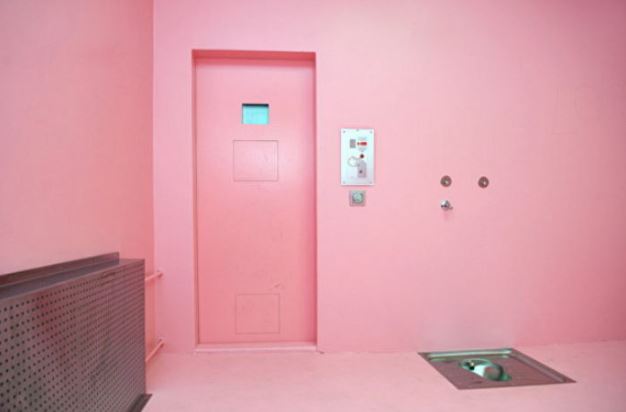 핑크 감옥 2