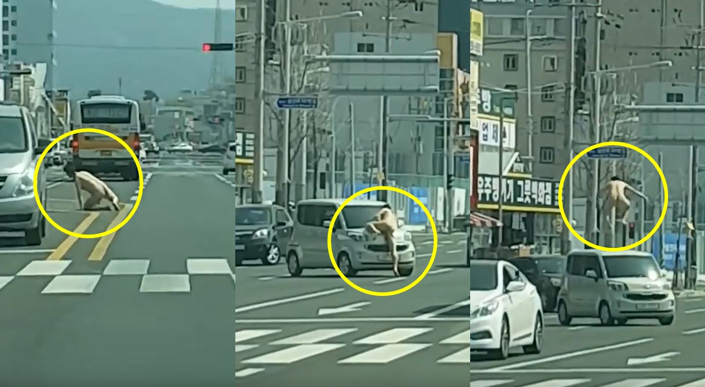 울산 터미네이터