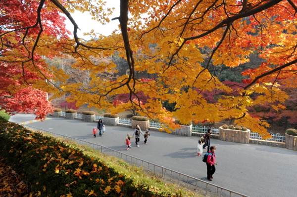 대구 앞산