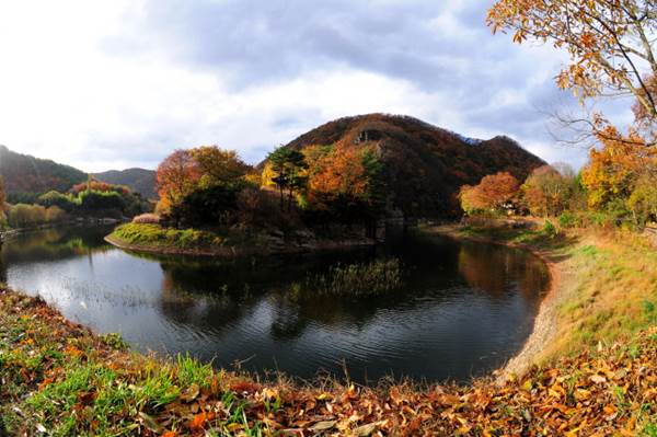 울산 반구대