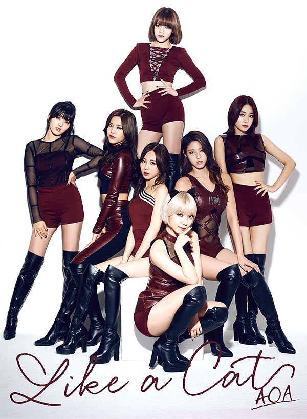 FNC_AOA_JAPAN[1]