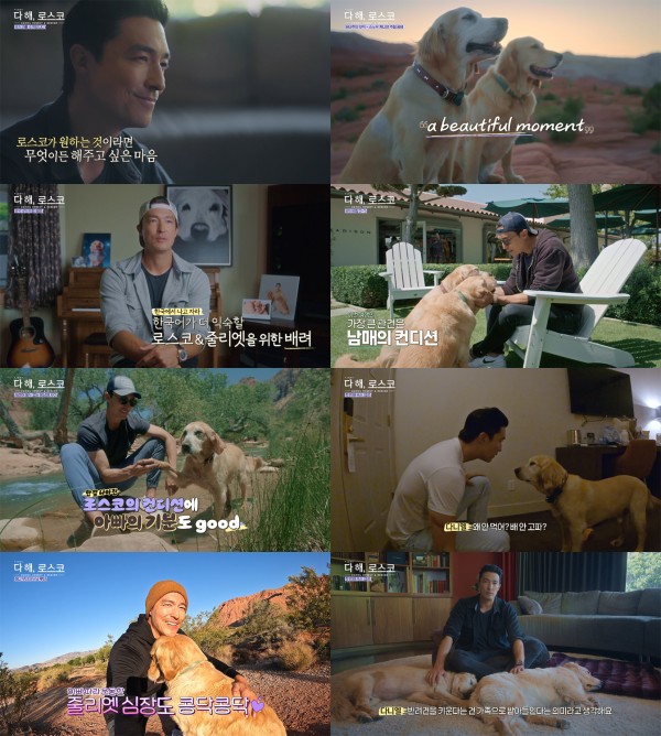 다니엘 헤니, 반려견의 마지막 여행을 담다 이미지