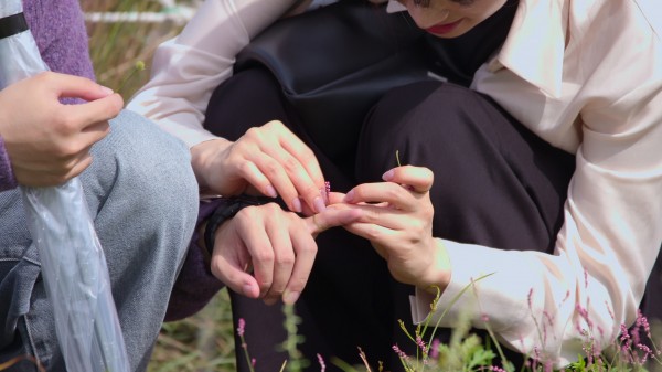 모태솔로들의 연애 리얼리티, 7월 8일 공개 이미지
